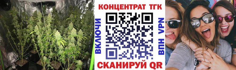 купить Барыш Дистиллят ТГК концентрат