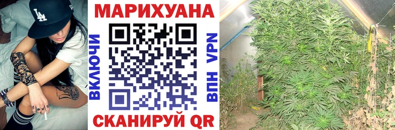 Канабис индика  ОМГ ОМГ как войти  Барыш 